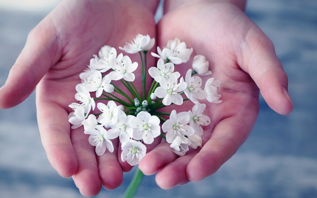 Episode 274 Radiating Tenderness