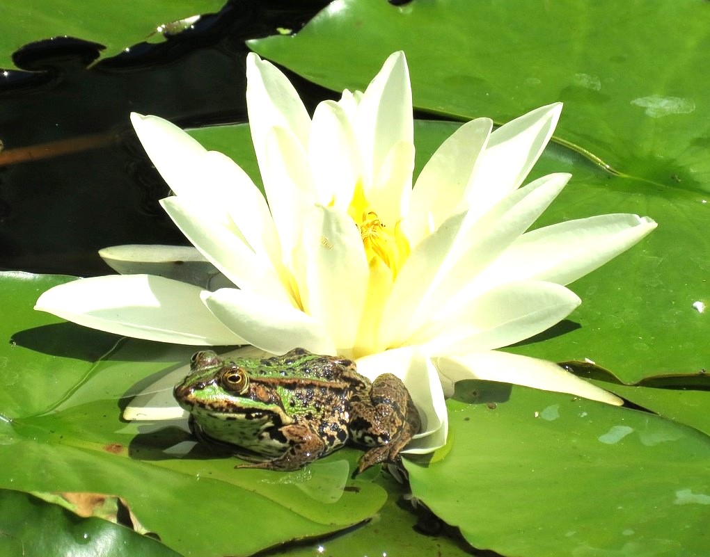 Woman holding a bright white light