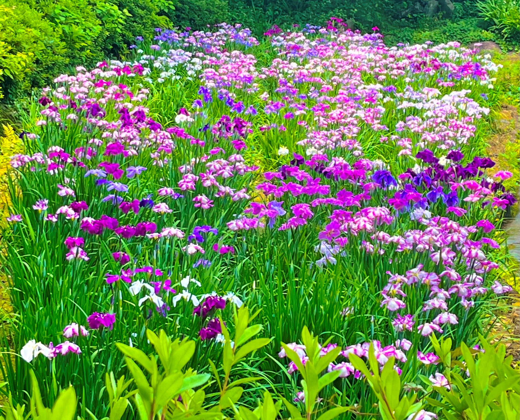 Woman holding a bright white light