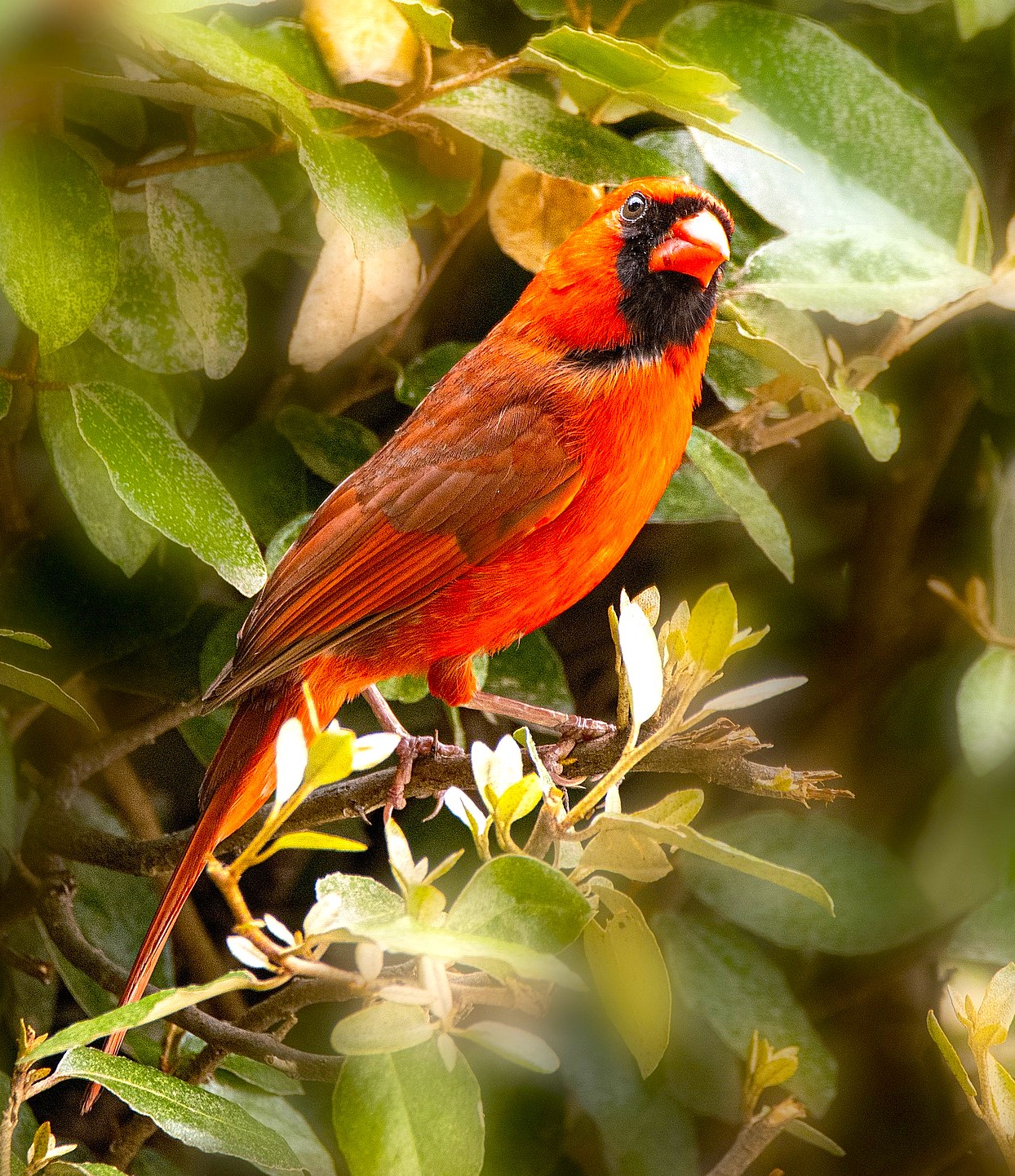 Woman holding a bright white light
