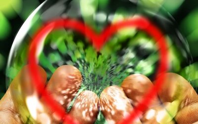 Revelations, Justice and Transformation for All