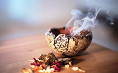 Collaboration Compassion Evolution